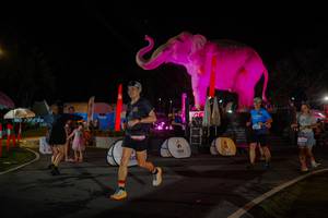 BIB: 
                            <button type="button" onclick="openModal(26552184)" class="btn btn-primary btn-sm float-right btn-popup" data-toggle="modal" data-target=".modal-high-quality">
                        <i class="fas fa-shopping-cart"></i> Add to Cart
                    </button>
                                            <button type="button" onclick="isThisMe(26552184, true)" class="btn btn-success btn-sm float-right btn-popup btn-isme hidden" data-toggle="tooltip" data-placement="bottom" title="นี่คือรูปของคุณใช่ไหม คลิกที่นี่เพื่อเอาเข้าอัลบั้ม">
                        <i class="fas fa-plus"></i> Add to album
                    </button>
                    <button type="button" onclick="isThisMe(26552184, false)" class="btn btn-warning btn-sm float-right btn-popup btn-isnotme hidden">
                        <i class="fas fa-ban"></i> Remove from album
                    </button>